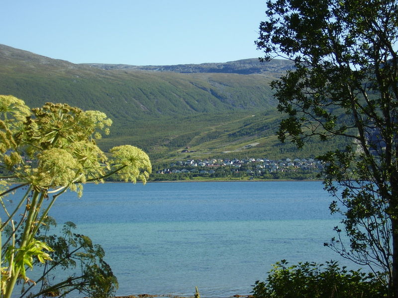 24-08-08 Sortie Vélo Tromso (127)