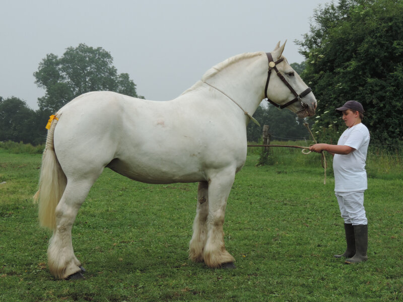 Vanille de Bernaville - Local de Bernaville (80) - 10 Juin 2018 - 2e (NR) (Non Suitées)