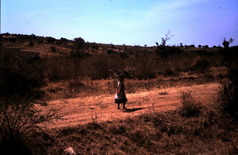 tanzanie 29