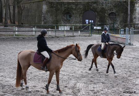 10___Margaux_et_Quali_du_Marais_aux_caves