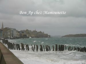 Saint Malo août 2013-2 070