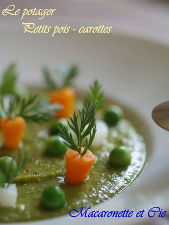 le_potager___petits_pois_carottes_7