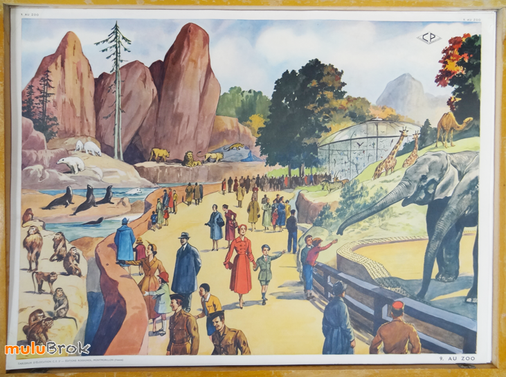 Affiche-LE-STADE-AU-ZOO-8-muluBrok