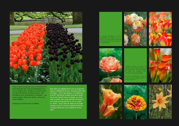 GardenColours1_Page_06