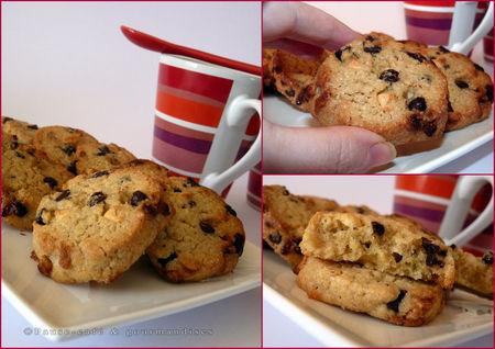 cookies_aux_2_p_pites__1_