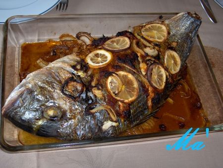 dorade_091128