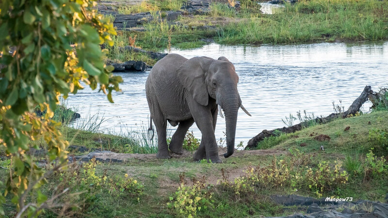 South Africa - 193