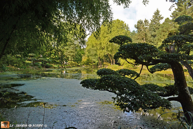 PAT_0963 Parc Oriental de Maulévrier