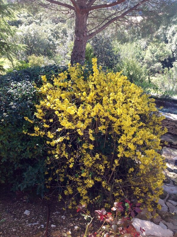 photo-38