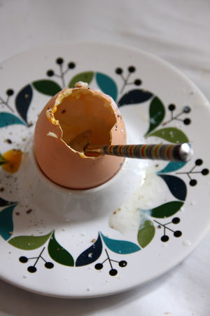 oeuf_coque_1