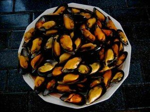 Moules1