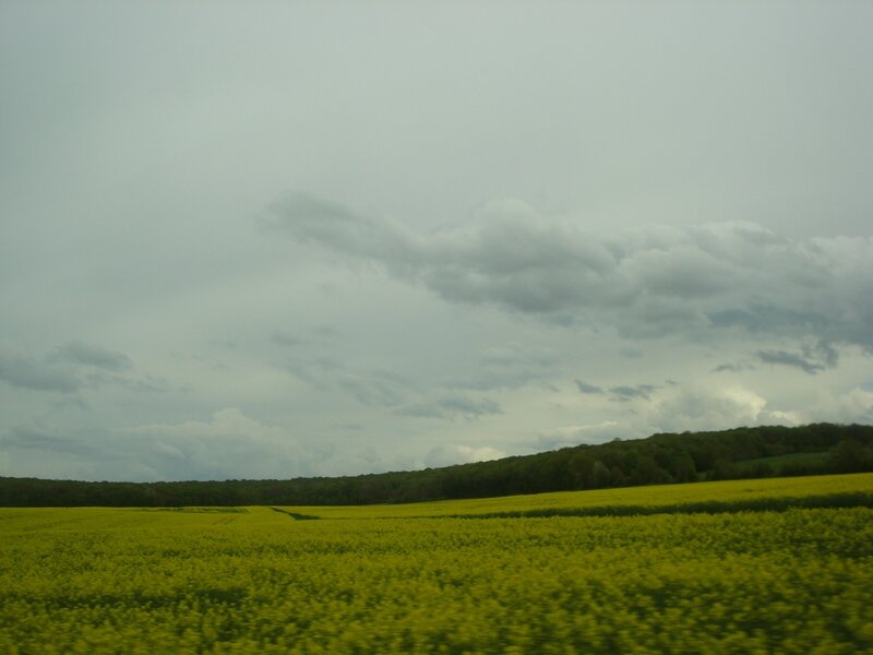 DSC06576