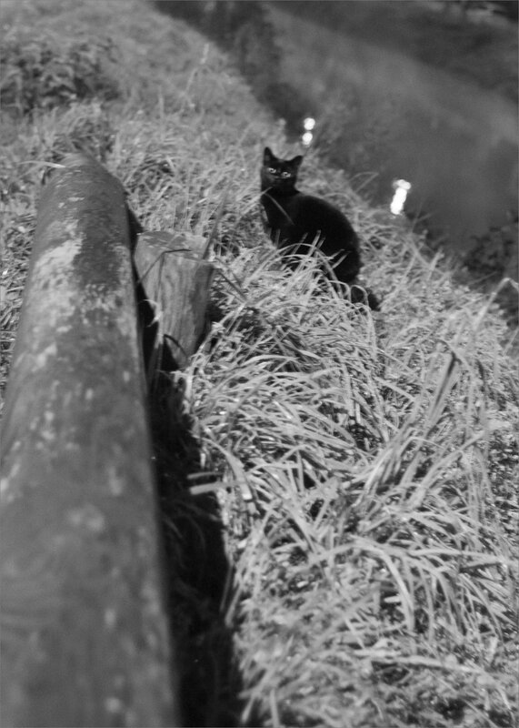 Ville nuit brume 161119 23 ym chat