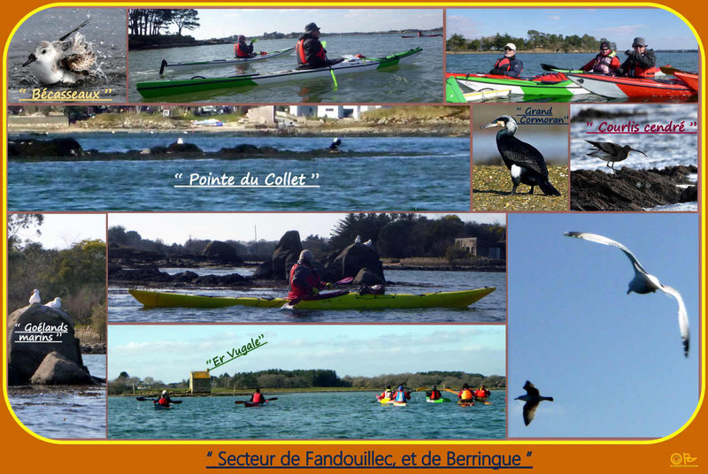 3 Sortie kayak (Ornitho) du Samedi 04-02-23 PJ n°3)