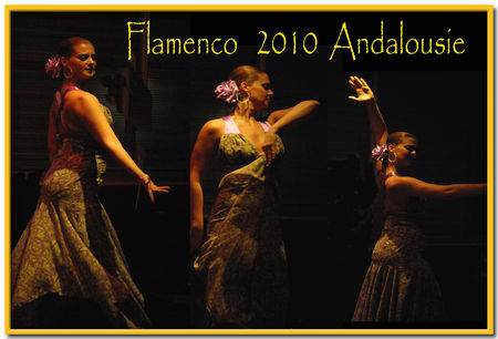 flamenco_2010