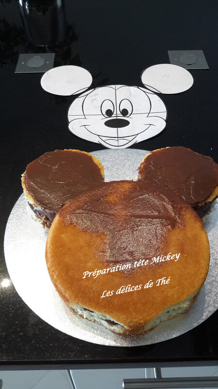 Mickey 2D 08 11 19 (9)