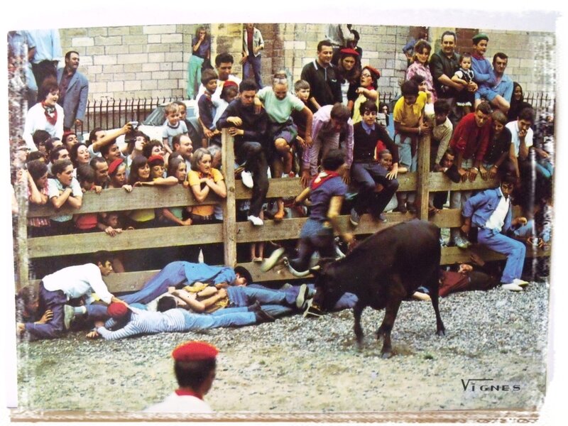 Tumades avec les vaches landaises (datée 1972)