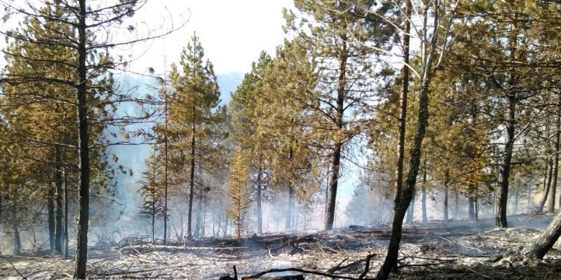 Dordogne Un feu de forêt provoqué par un écobuage