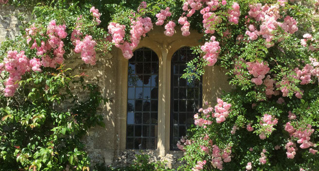 Roses