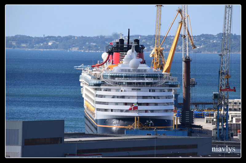 3 Disney à Brest 5