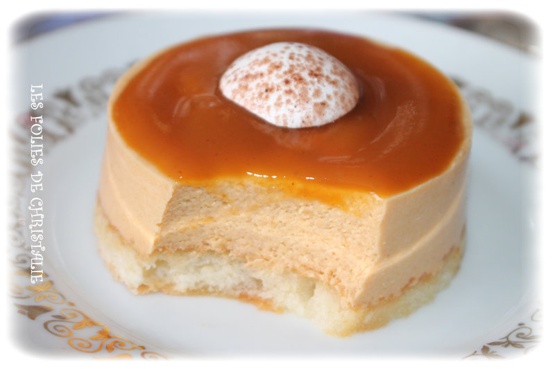 Petit bavarois abricots 7