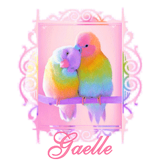 gaelle-multicolorlovebirds-julea