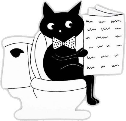 Chat WC