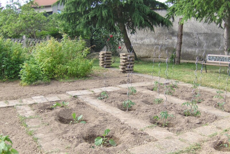 jardin_potager_21_mai_2014