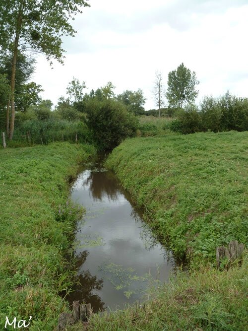140809_marais_sougeal3