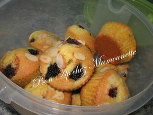 Petits gâteaux à la mûre sauvage 016