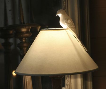 oiseau de lumière