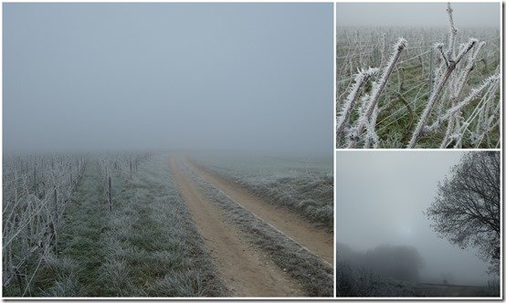 givre du 17 décembre 20224