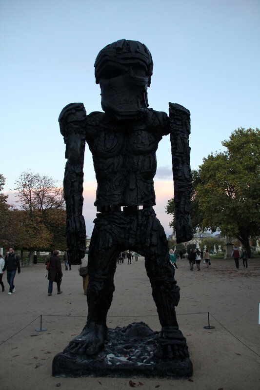 fiac_2014_cyclops