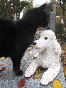 Chat léchant un chien en plâtre