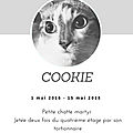 [GRIF' En Peine] Cookie, emblème de la <b>cause</b> <b>animale</b> 2018... 
