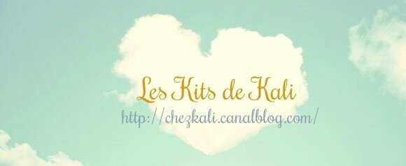 KITS DE KALI1