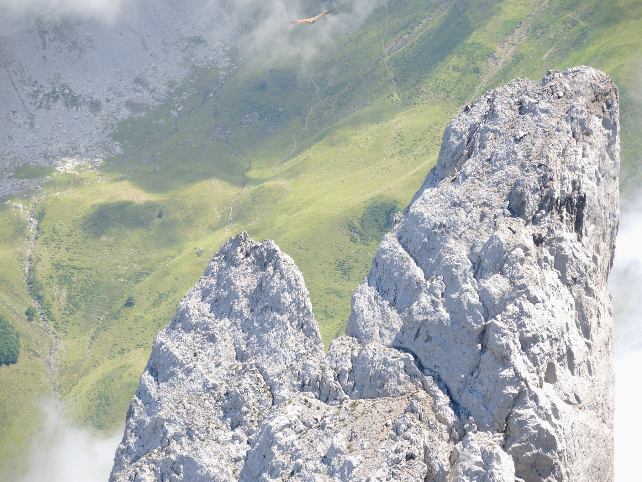 Lescun, i sommet du pic d'Ansabère, aiguille nord