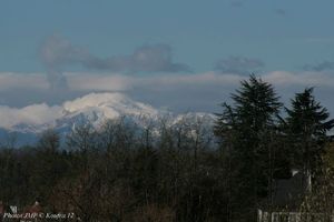 IMG_3223