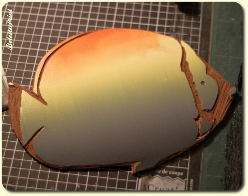 encrageplaque2