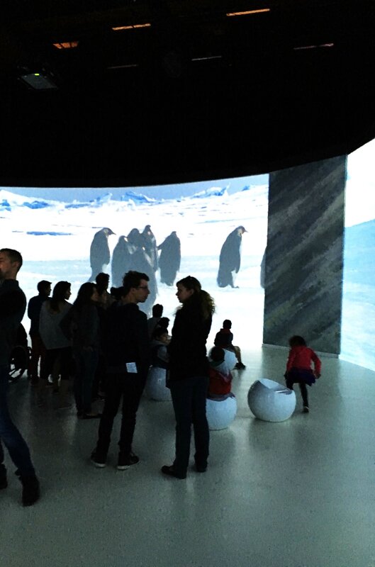 10-musee-des-confluences-exposition-antartica-lyon