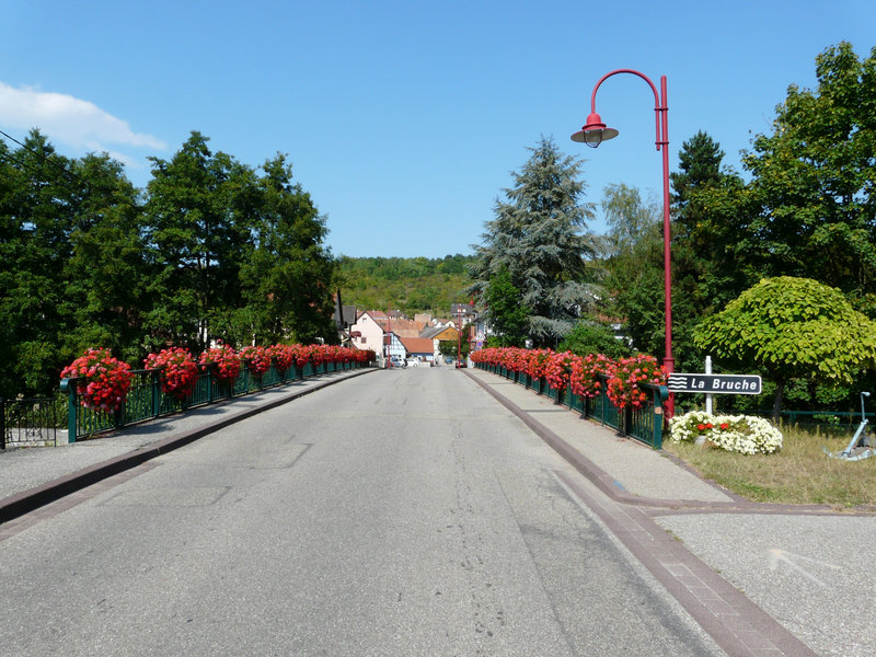 Dinsheim-sur-Bruche (6)