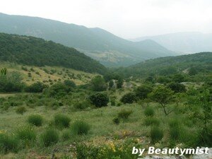 blog_collines1