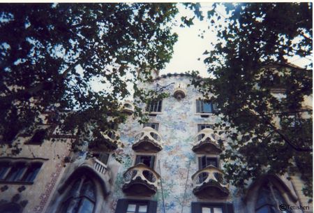 barcelone_casa_batlo