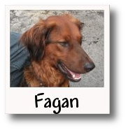 Fagan