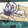 bbutterfly21cx
