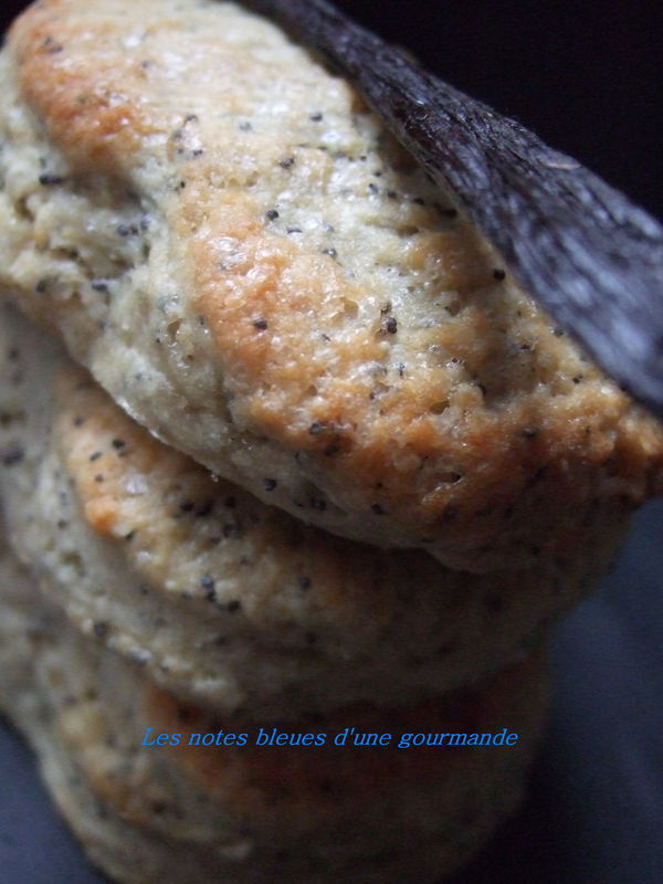 Scones à la vanille et graines de pavot recettes dessert Mousse à la vanille & aux graines de pavot