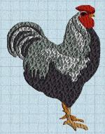 coq03_machine
