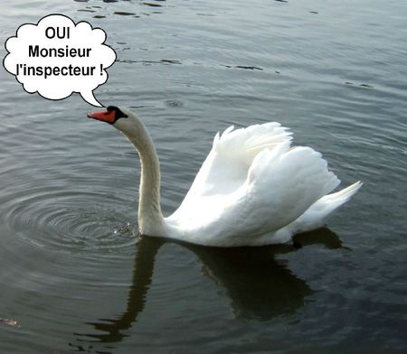Oui Monsieur l'iNSPECTEUR
