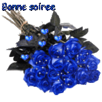 roses_bleues1