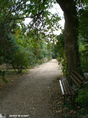 Allée des rosiers à Orchaise